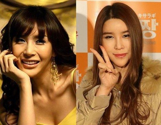 河莉秀再度整容大变脸 网友惊呼已不是同一个人