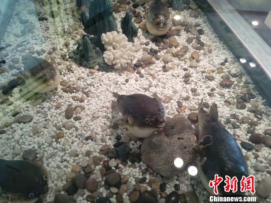 ��������ܺ��������ҵ�����ֺ������У�ͼ��